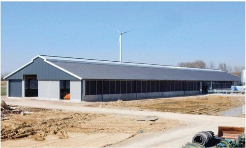 kasus perusahaan terbaru tentang Struktur baja Gudang ternak