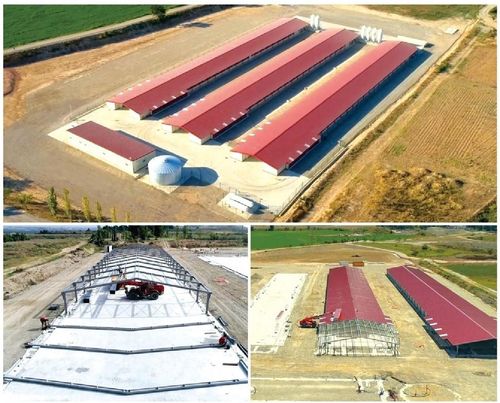 kasus perusahaan terbaru tentang Tiga rumah broiler baru dari tahap 3 pembangunan ruang untuk ayam broiler, dengan kapasitas sekitar 147000 ayam broiler.