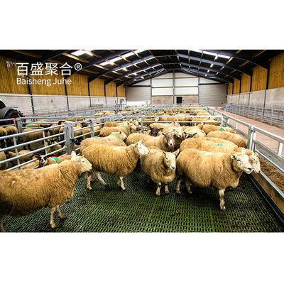 Struktur baja prefabrikasi khusus Rumah kandang kambing dengan pintu geser