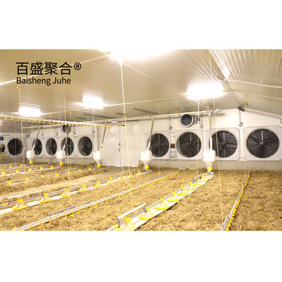 Multi Lantai Besar Skala Chicken Coop Shed Farm House Gudang dengan Aluminium Alloy Jendela