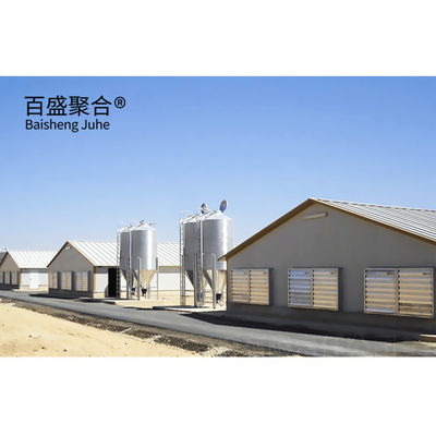 Multi Lantai Besar Skala Chicken Coop Shed Farm House Gudang dengan Aluminium Alloy Jendela
