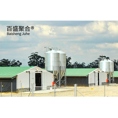 Multi Lantai Besar Skala Chicken Coop Shed Farm House Gudang dengan Aluminium Alloy Jendela