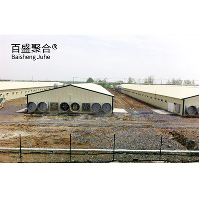Multi Lantai Besar Skala Chicken Coop Shed Farm House Gudang dengan Aluminium Alloy Jendela