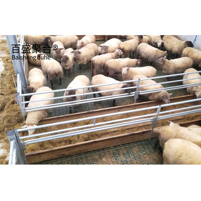 Prefabricated Barn untuk Sapi Kuda Kambing dan Domba Struktur Baja Bangunan Cepat