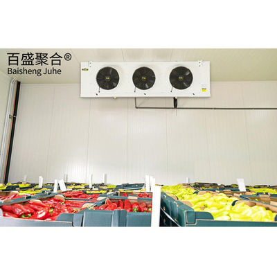 20ft Kontainer mobile kamar dingin Freezer untuk ikan Sayuran Buah penyimpanan es krim