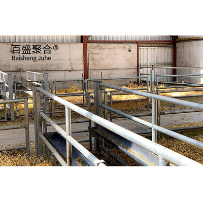Q345 Struktur baja Bangunan logam prefabrikasi untuk pembangunan peternakan domba dan kambing