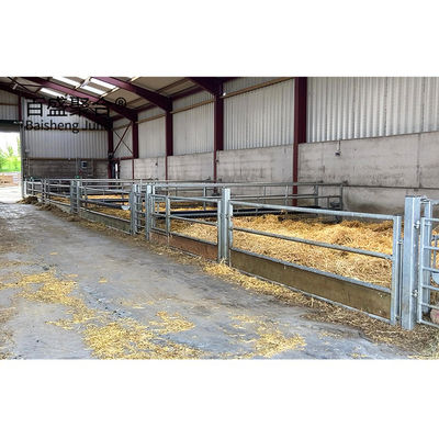 ISO9001 2008/CE/BV Sertifikasi Hot Dip Galvanized Prefabricated Steel Structure Bangunan Peternakan untuk Babi, Sapi, Domba