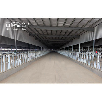 Struktur Baja Ringan Bangunan Pertanian Sapi Sarang Sapi Prefabrikasi dengan ISO9001 2008/CE/BV