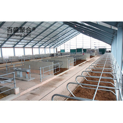 Struktur Baja Ringan Bangunan Pertanian Sapi Sarang Sapi Prefabrikasi dengan ISO9001 2008/CE/BV