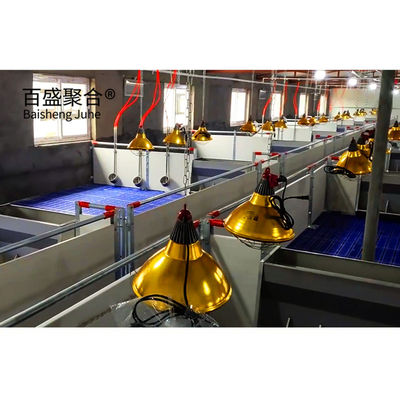 Pertanian Babi Pen farrowing dengan C.Z Bentuk Channel Baja dan Hot Dip Galvanized Lapisan