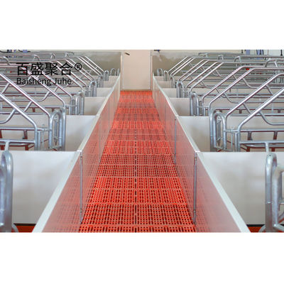 Pertanian Babi Pen farrowing dengan C.Z Bentuk Channel Baja dan Hot Dip Galvanized Lapisan