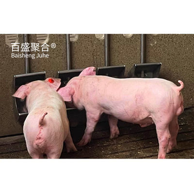 Pertanian Babi Pen farrowing dengan C.Z Bentuk Channel Baja dan Hot Dip Galvanized Lapisan