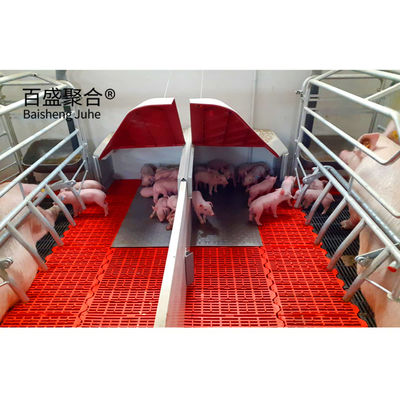 Pertanian Babi Pen farrowing dengan C.Z Bentuk Channel Baja dan Hot Dip Galvanized Lapisan