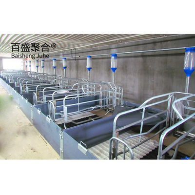Pintu Rolled Roofing Wall Detachable Steel Frame Structure Bangunan Desain Rumah Babi