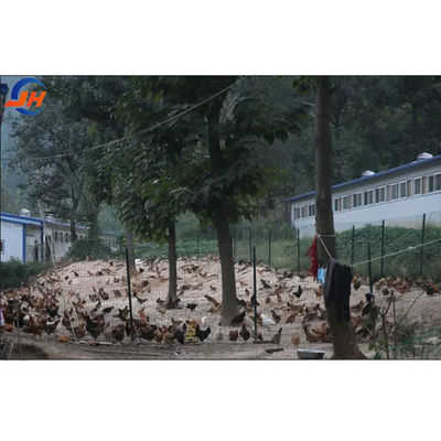 Baja Grade Desain Modern Coop Ayam Untuk Peternakan Unggas Rumah Struktur Baja Gudang Peternakan