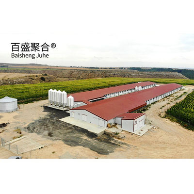 Hot Dip Galvanized Steel Structure Chicken Poultry Farm Shed untuk Kapasitas Beban Berat
