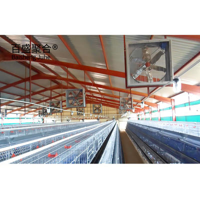 Pintu Geser Pintu Roller Rumah Ayam Baja untuk 10000 Ayam dalam warna khusus