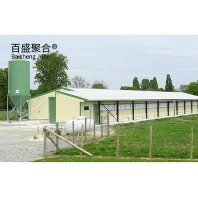 Gedung Pertanian Unggas Broiler Prefabrikasi Kapasitas Besar dengan Atap Panel Sandwich
