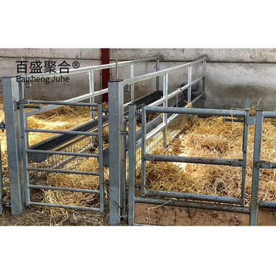 Customized C.Z Shape Steel Channel Purlin Metal Bangunan untuk Sheep Shed dan Piggy House