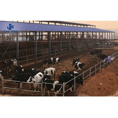 Roller Door Prefabricated Steel Structure Rumah sapi untuk kandang unggas