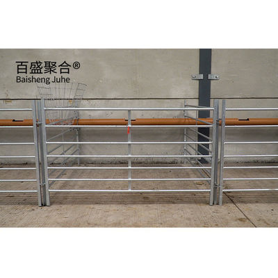 Hot Dip Galvanized Prefab Baja Sapi Barn Sapi Peternakan Sapi dengan dan Efisiensi