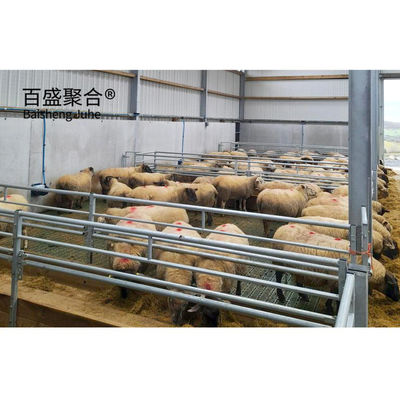 PKPM Gambar Desain Pembangunan Cepat Struktur Baja Ringan Sapi Sapi Kambing Domba Gudang