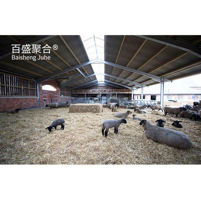 ISO9001 2008/CE/BV Sertifikat Sarang Sapi Prefabrikasi untuk Perundingan Kambing Domba dan Lembu