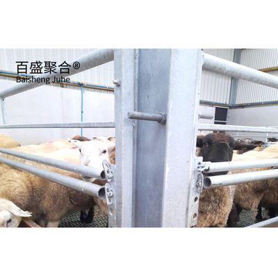 Pengelasan Prefabrikasi H Balok Bangunan Struktur Baja Untuk Kambing Domba kandang Sapi/Peternakan Sapi