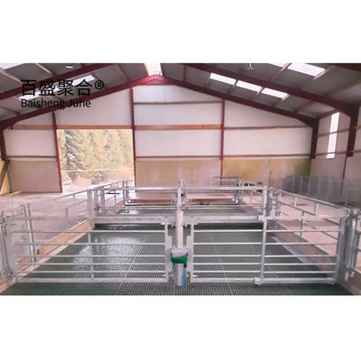 Hot Galvanizing Struktur Baja Gudang Sapi dengan Warna Khusus dan Standar ASTM