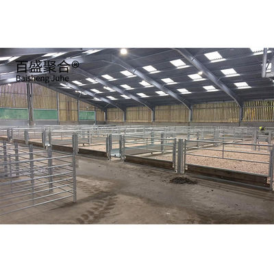 Hot Galvanizing Struktur Baja Gudang Sapi dengan Warna Khusus dan Standar ASTM
