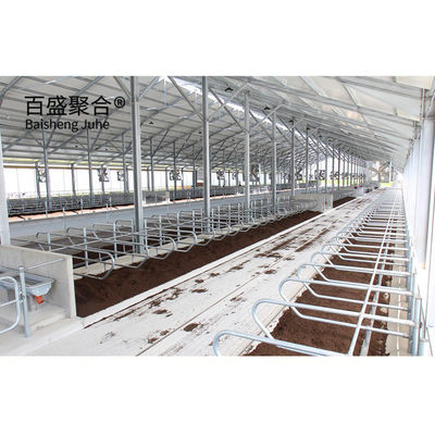 Efficiently Designed Heavy Prefabricated Cow House/Cow Shed dengan C.Z Shape Purlin