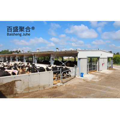 Efficiently Designed Heavy Prefabricated Cow House/Cow Shed dengan C.Z Shape Purlin