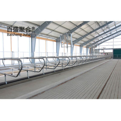 Efficiently Designed Heavy Prefabricated Cow House/Cow Shed dengan C.Z Shape Purlin
