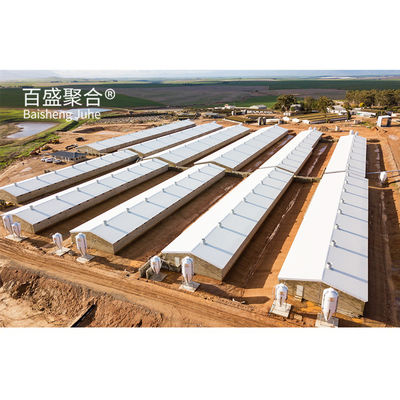 Long Span Steel Structure Sarang Babi untuk Rumah Babi Pertanian Desain Konstruksi