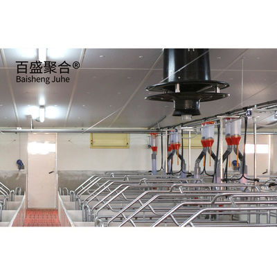 Long Span Steel Structure Sarang Babi untuk Rumah Babi Pertanian Desain Konstruksi