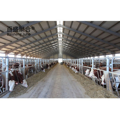 Custom Colors Metal Frame Steel Structure Cow Cattle Farm House Prefab Sarang Sapi Standar ASTM