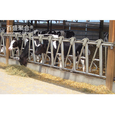 ISO9001 2008/CE/BV Struktur baja bersertifikat Bangunan Pertanian Sarang Sapi untuk Peternakan Kambing