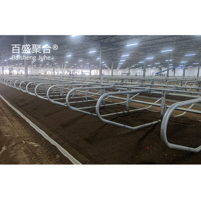 ISO9001 2008/CE/BV Struktur baja bersertifikat Bangunan Pertanian Sarang Sapi untuk Peternakan Kambing
