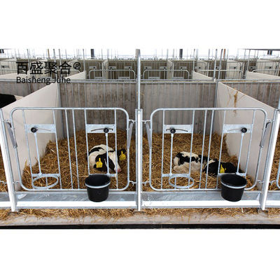 ISO9001 2008/CE/BV Struktur baja bersertifikat Bangunan Pertanian Sarang Sapi untuk Peternakan Kambing