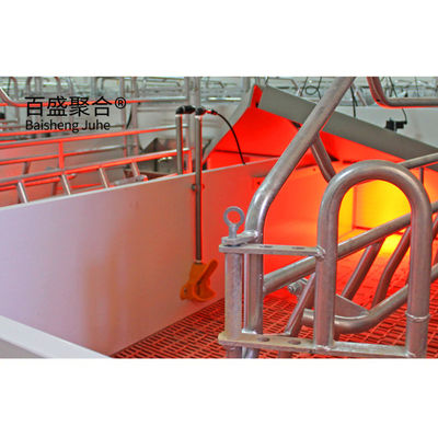 Prefab Metal Steel Konstruksi Ternak Babi Shed dilengkapi dengan Sliding Door Roller Door
