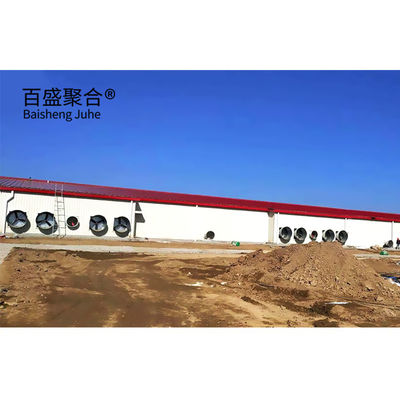 Automatic Poultry Farm Prefab Layer Rumah Babi dengan Desain dan Aluminium Alloy Window