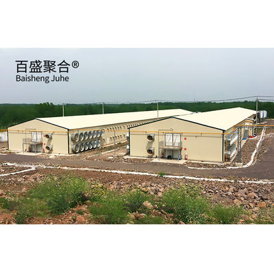 Automatic Poultry Farm Prefab Layer Rumah Babi dengan Desain dan Aluminium Alloy Window