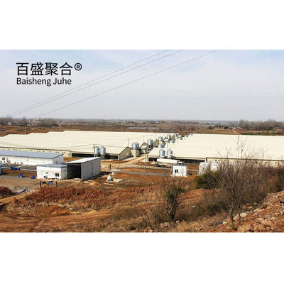 Automatic Poultry Farm Prefab Layer Rumah Babi dengan Desain dan Aluminium Alloy Window