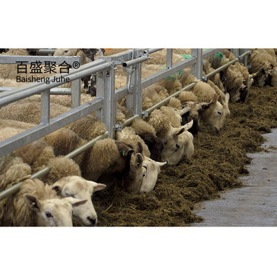 Struktur baja ringan standar ASTM Rumah Kambing Desain Pertanian Prefab Kambing Kambing Rumah Gudang Baja