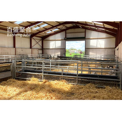 Struktur baja ringan standar ASTM Rumah Kambing Desain Pertanian Prefab Kambing Kambing Rumah Gudang Baja