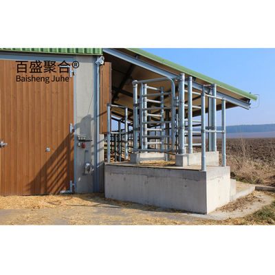 Struktur Baja Sarang Sapi Perkebunan Susu Babi/Domba/Kucing Rumah Pertanian Sarang Sapi dengan Jendela Alloy Aluminium