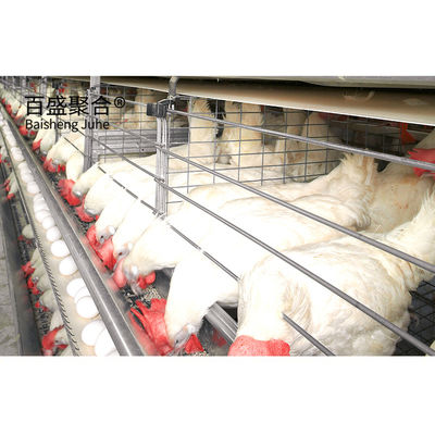 ± 1% Toleransi Bangunan baja cepat Rumah kandang ayam untuk peternakan unggas prefab