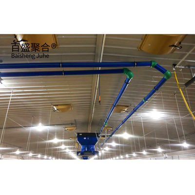 Hot Dip Galvanized/Paint Spraying Steel Prefab Piggery House Desain untuk Peternakan Unggas