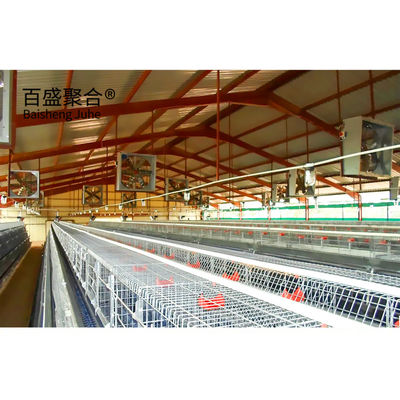 Galvanized A Tipe Chicken Cages Layer Unggas dengan Sertifikasi ISO9001 2008/CE/BV