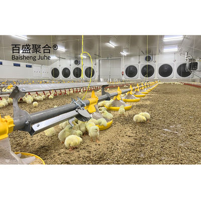 Galvanized A Tipe Chicken Cages Layer Unggas dengan Sertifikasi ISO9001 2008/CE/BV